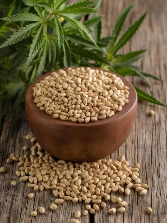 Roasted Hemp Seeds